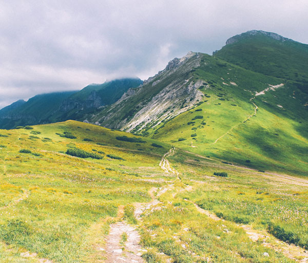 会员充值渠道的网站流量攻击